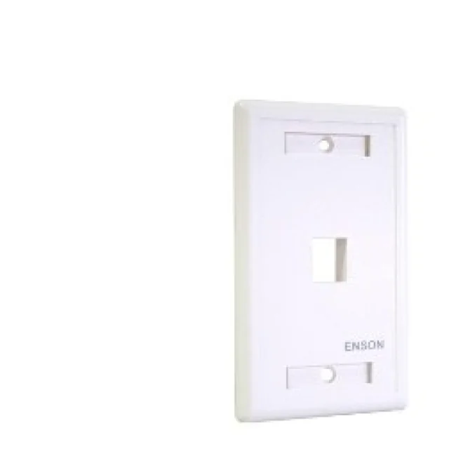 Enson ENS-FP61 placa de pared o cubierta de interruptor Blanco