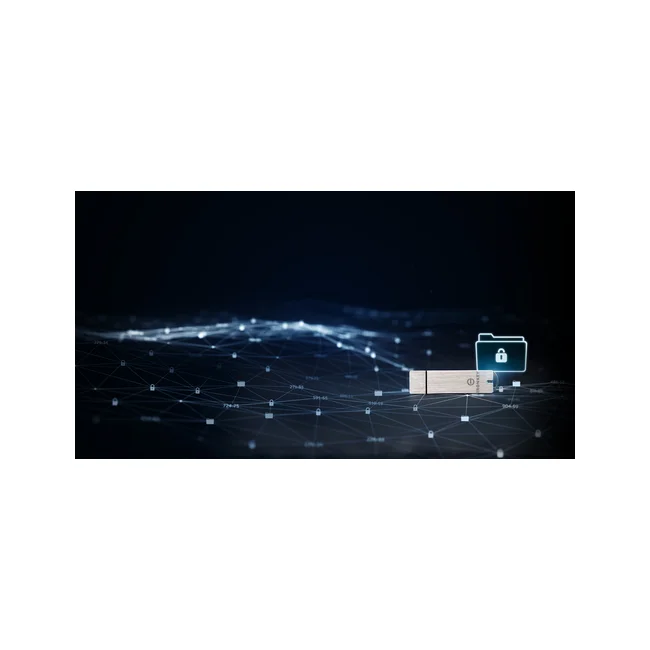 Kingston Technology IronKey S1000 unidad flash USB 128 GB USB tipo A 3.2 Gen 1 (3.1 Gen 1) Plata image 14