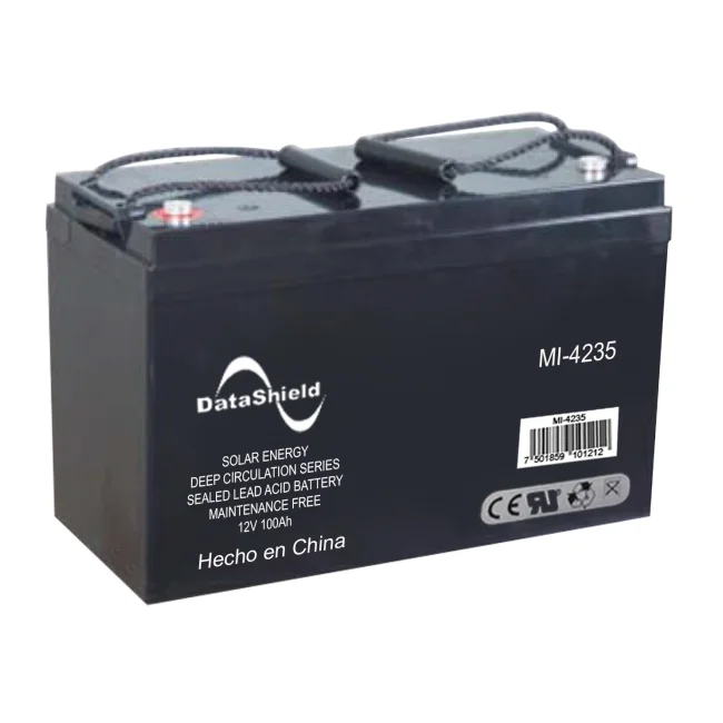DataShield MI-4235 batería para sistema UPS 12 V image 2
