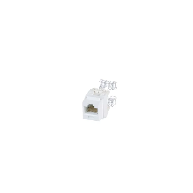 Jacks y Plugs Cat 6
