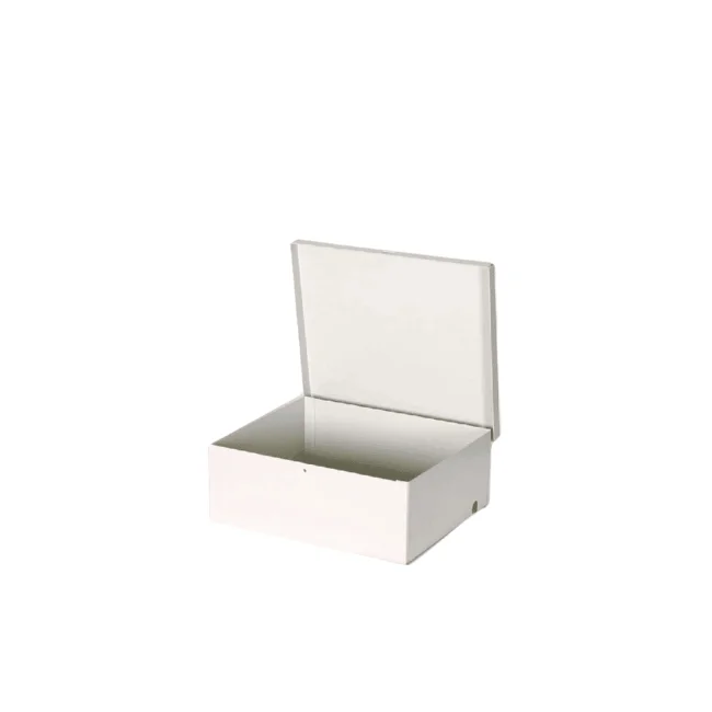 AV GMX004 GS004 - Gabinete Metálico para Modulos DSC SECO LARM