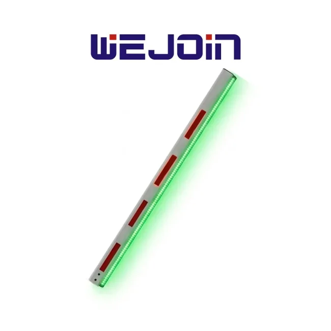 WEJOIN WJLBM6 - Brazo Recto Octagonal de 6 Metros con Led