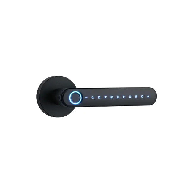 NGTeco SL01A630N -  Cerradura Inteligente Biométrica estilo americano / 100 huellas / 100 contraseñas / App Móvil NGTeco Home image 4