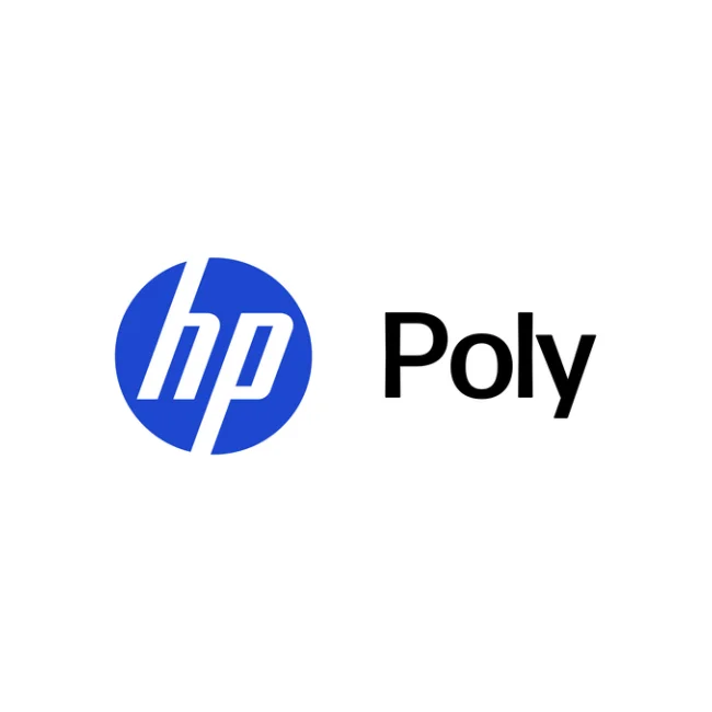 HP Poly Cable Poly Y Training