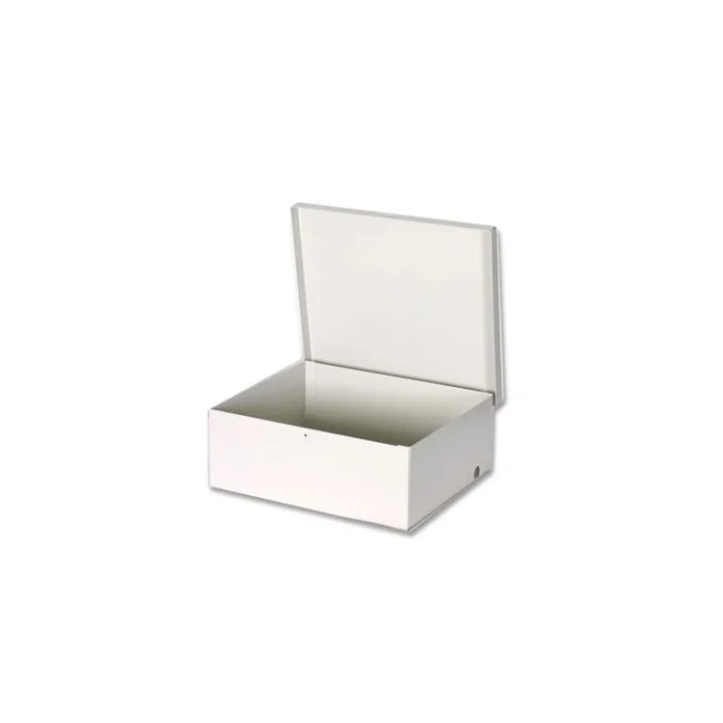 DSC GS-004 caja para sistema de alarma Blanco