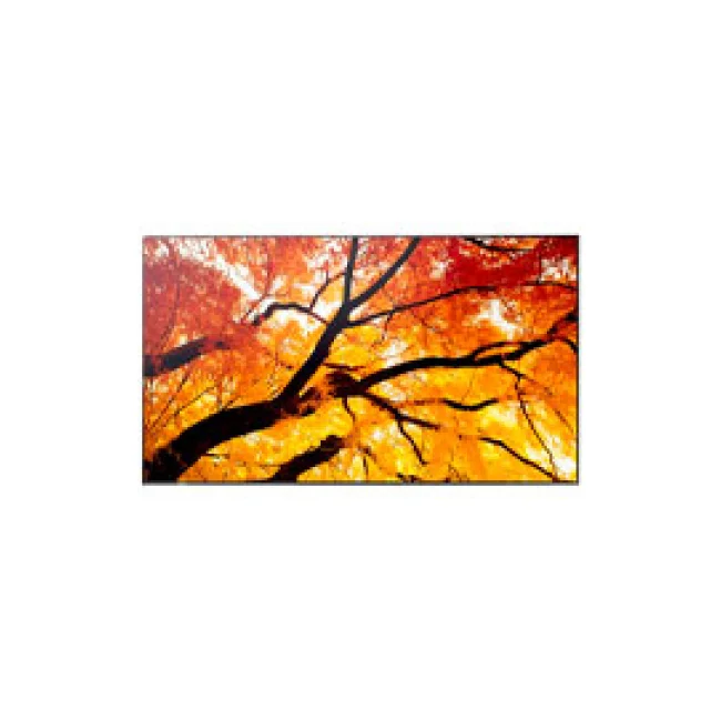 MONITOR PROFESIONAL SHARP 75 PN-M752 UHD 3840 X 2160 24/7, 550 CD/M2, 80001, HDMI, DISPLAYPORT HDCP, USB, RJ-45, INTEL SDM Y RPI4