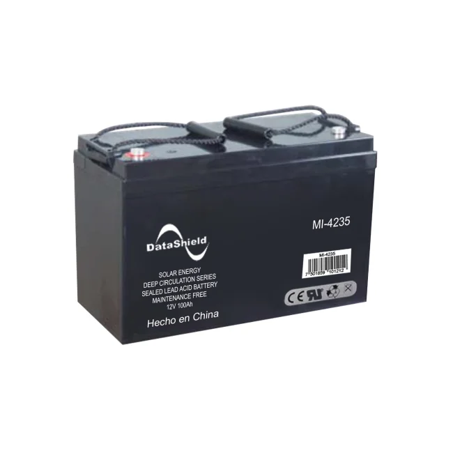DataShield MI-4235 batería para sistema UPS 12 V