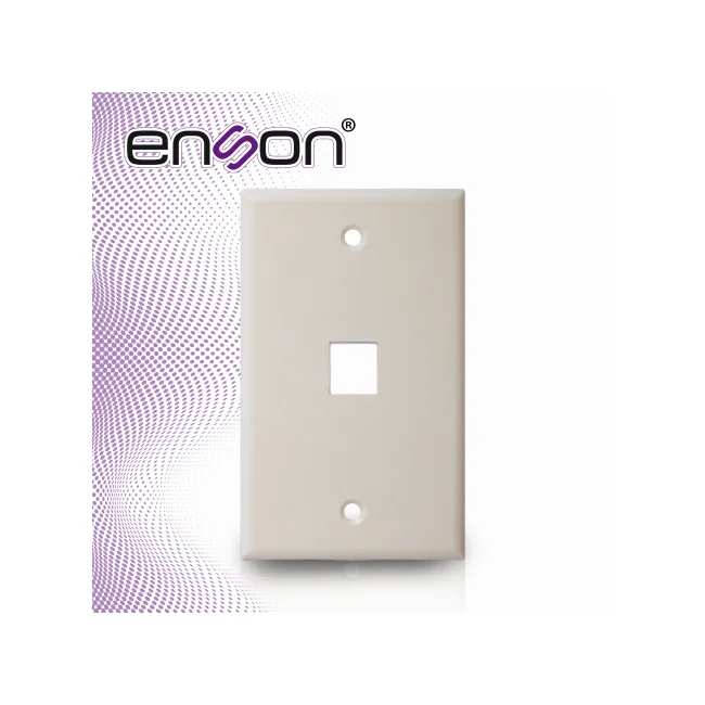 Enson ENS-FP61 placa de pared o cubierta de interruptor Blanco