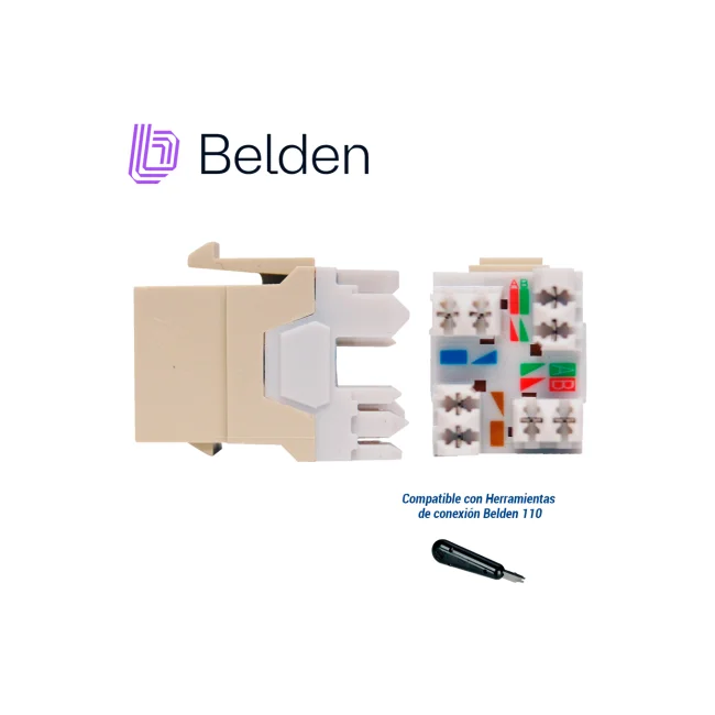 Belden AX103073 conector RJ45, RJ11 Marfil image 6