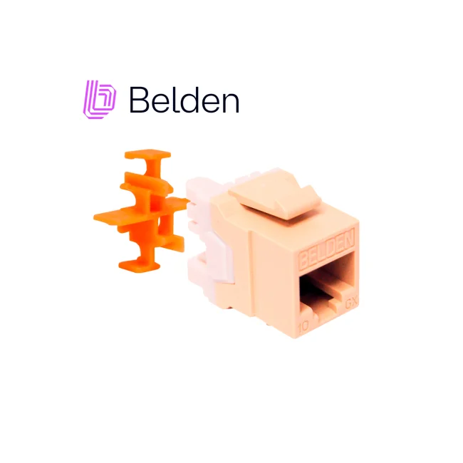 Belden AX103073 conector RJ45, RJ11 Marfil