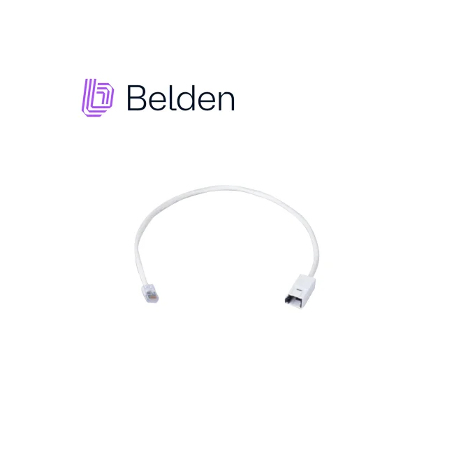 Belden RVAFFPUEW18-S1 tomacorriente 2 x RJ-45 Negro image 3