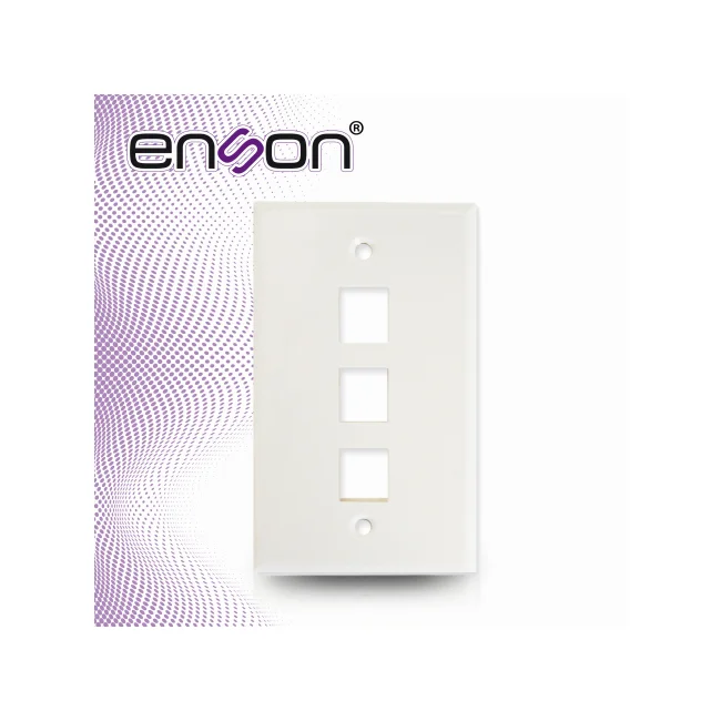 Enson ENS-FP63 placa de pared o cubierta de interruptor Blanco